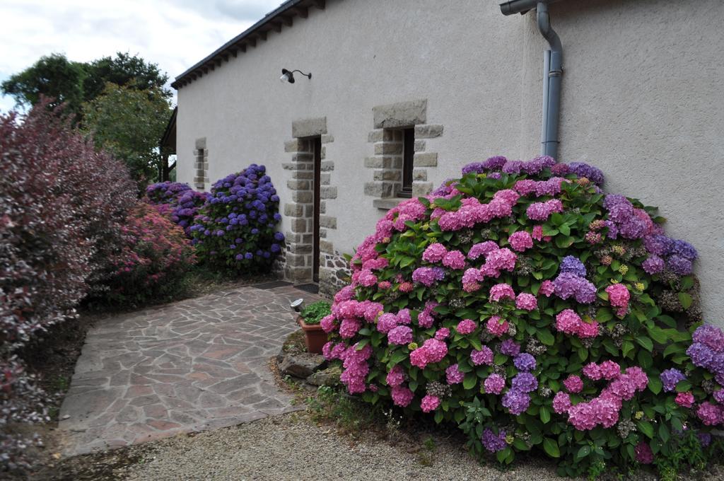 Perrault Gites Loscouet-sur-Meu Exterior photo